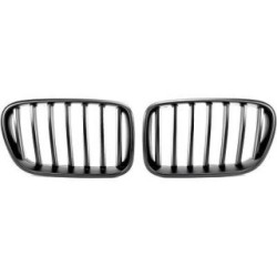 Radiator Grille 1276340 for BMW X3