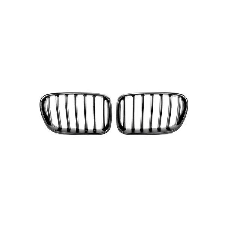 Radiator Grille 1276340 for BMW X3