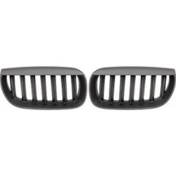 Radiator Grille 1275340 for BMW X3