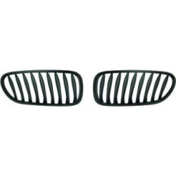 Radiator Grille 1251340 for BMW Z4