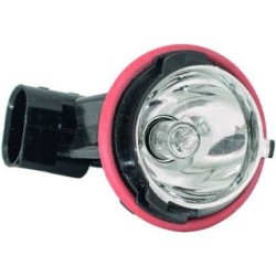 Park Position Light Bulb 1223187 OE 63126904048