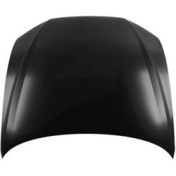 Bonnet 1029001 for AUDI A6 OE 4K0823029B