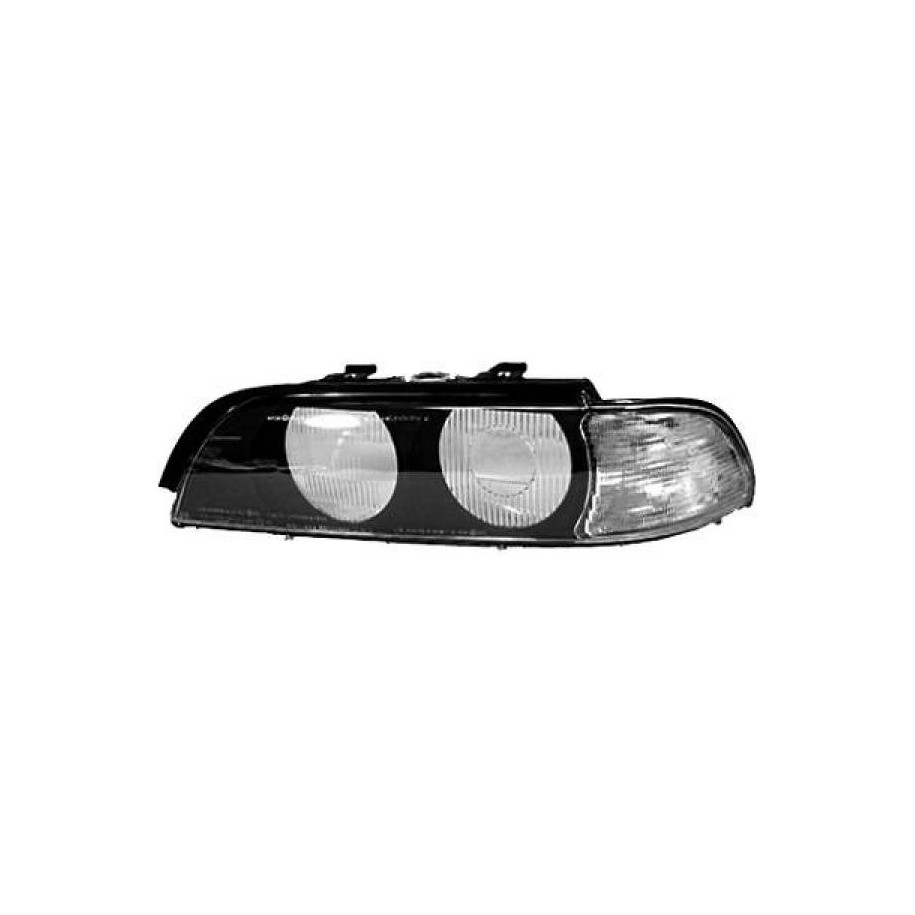 Headlight Diffusing Lens 1223085 for BMW 5 OE 200380LA1