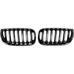 Radiator Grille 1275341 for BMW X3