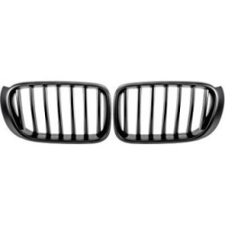 Radiator Grille 1276540 for BMW X3