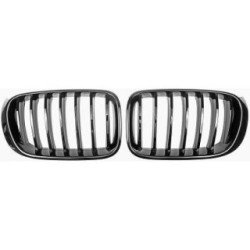 Radiator Grille 1276541 for BMW X3
