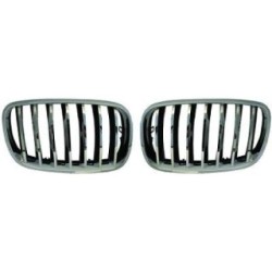 Radiator Grille 1291240 for BMW X5