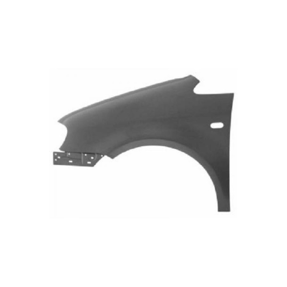 Wing (Fender) 2205607 for VW CADDY OE 2K0821021