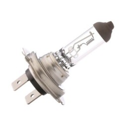 RIDEX Spotlight Bulb 106B0013 for ASTRA