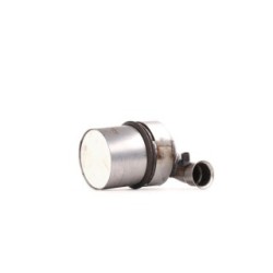 RIDEX Diesel Particulate Filter (DPF) 1256S0155 for CITROEN