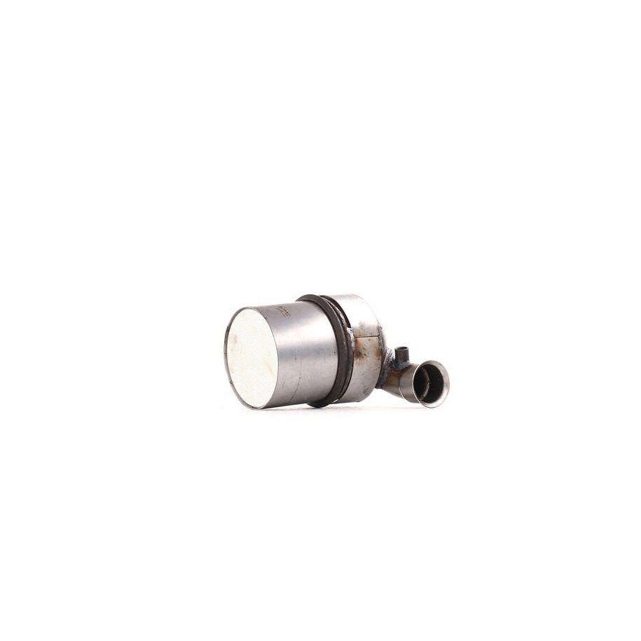 RIDEX Diesel Particulate Filter (DPF) 1256S0155 for CITROEN