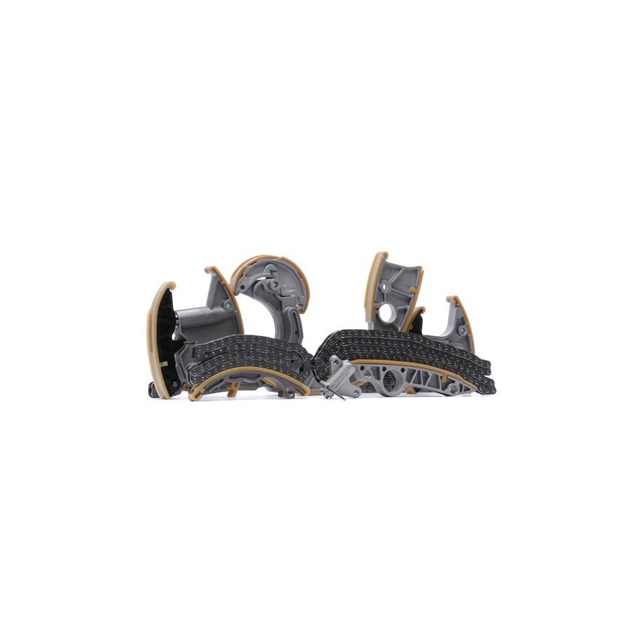 RIDEX Timing Chain Kit 1389T0043 for AUDI