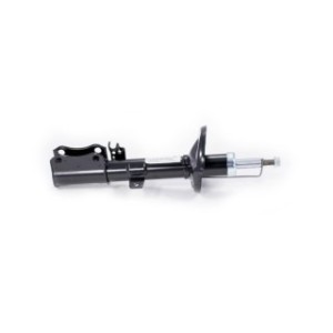 Shock Absorber - FEBEST 0107G003RL
