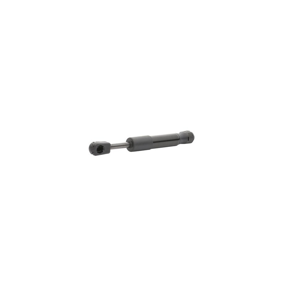 RIDEX Tailgate Strut 219G0976 for RENAULT 19 60000 070 875
