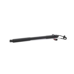 RIDEX Tailgate Electric Motor 219G1034 OE 31298576