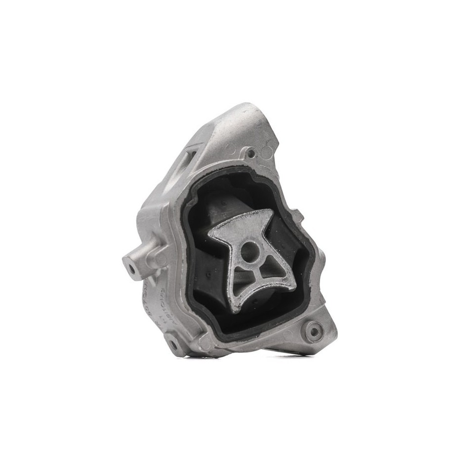 RIDEX Engine Mounting 247E0625 OE 31277313
