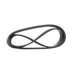 RIDEX V Ribbed Belt 305P0606 for CITROEN