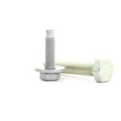 RIDEX Bolt & Nut Kit 3264B0007 OE 6922.76