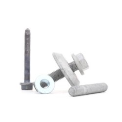 RIDEX Bolt & Nut Kit 3264B0008