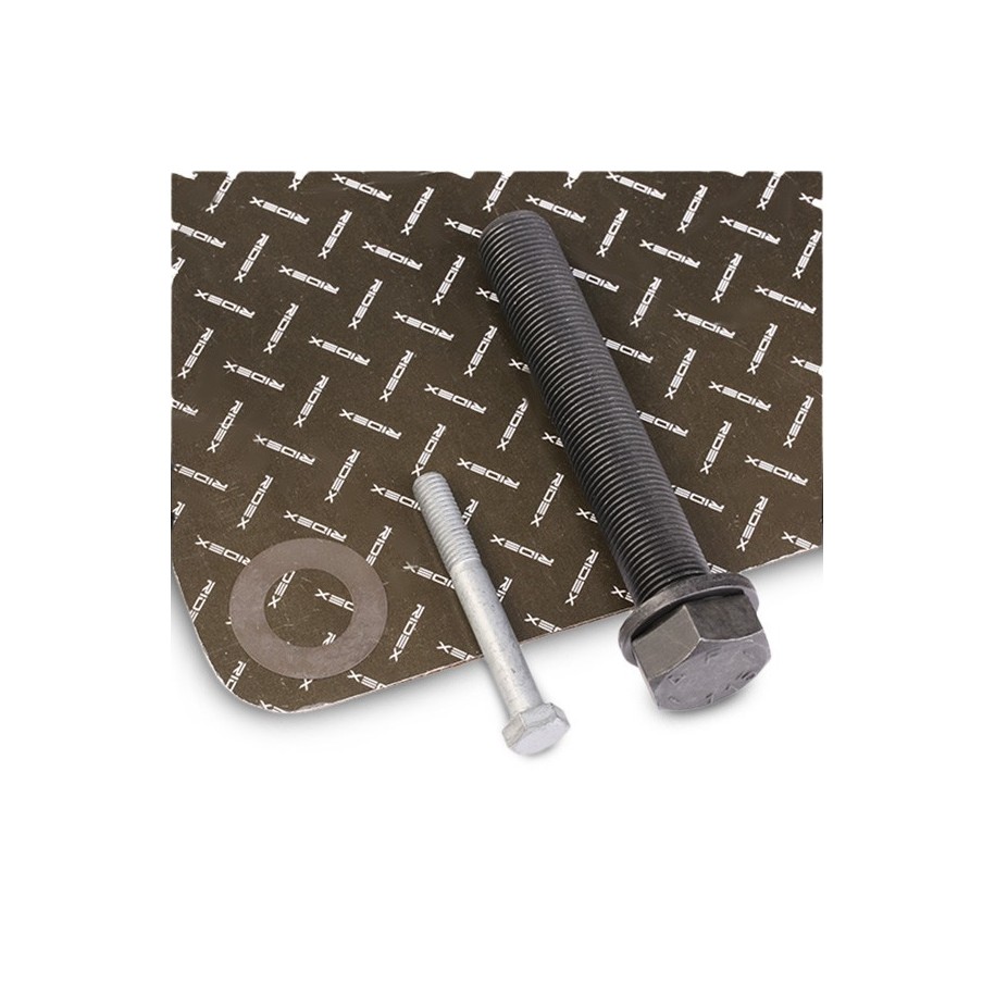 RIDEX Bolt & Nut Kit 3264B0055