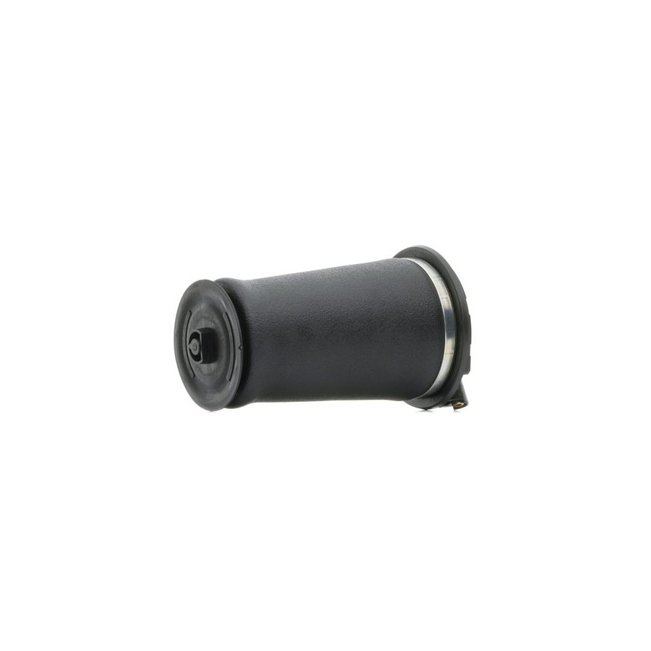 RIDEX Suspension Air Spring 4119A0036 for LAND ROVER RANGE