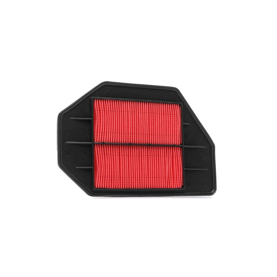 RIDEX Air Filter 8A0482 OE 17220PLZE01