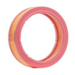 RIDEX Air Filter 8A0509 OE 1780187702