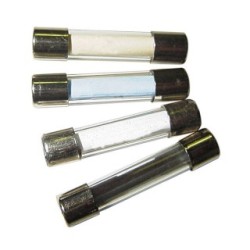 ASSTD GLASS FUSES