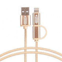 2 IN 1 CABLE