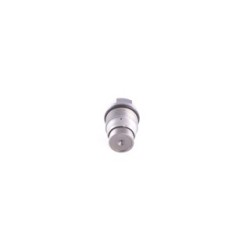 Common Rail System Pressure Relief Valve BOSCH 1110010017