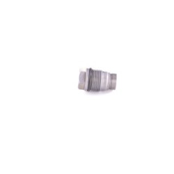 Common Rail System Pressure Relief Valve BOSCH 1110010017