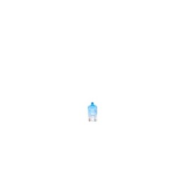Park position Light Bulb BOSCH 1987301098 for ABARTH