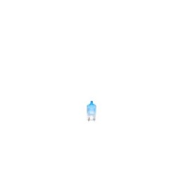 Park position Light Bulb BOSCH 1987301098 for ABARTH