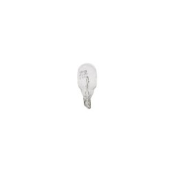 Direction Indicator Bulb BOSCH 1987302821 for ABARTH