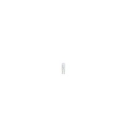 Bulb BOSCH 1987302504
