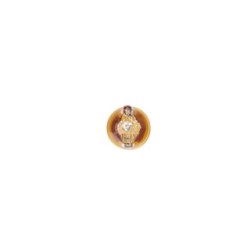 Direction Indicator Bulb BOSCH 1987302241 for ABARTH
