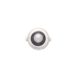 Direction Indicator Bulb BOSCH 1987302512 for DAF