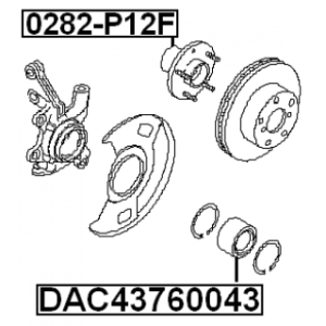 Wheel Hub - FEBEST 0282P12F