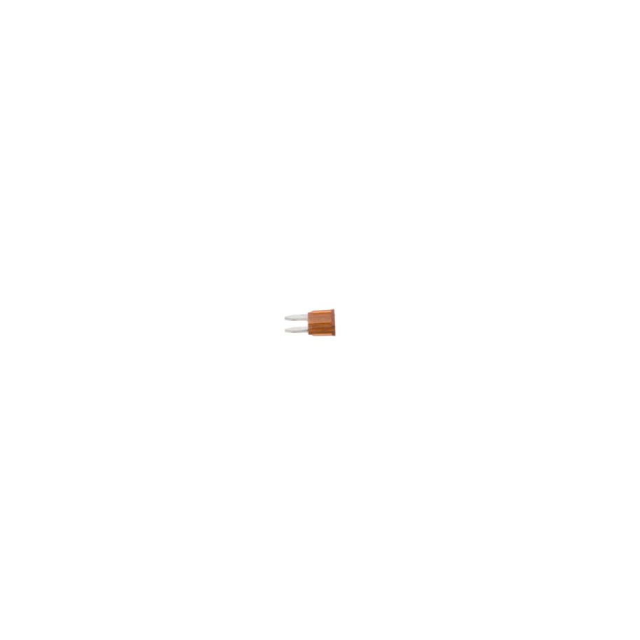 Fuse BOSCH 1987529029