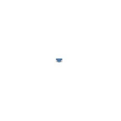 Fuse BOSCH 1987529047