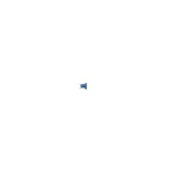 Fuse BOSCH 1987529047