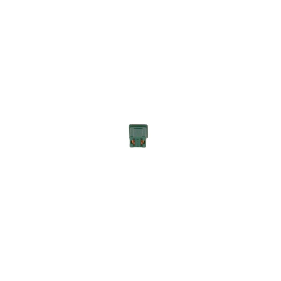 Fuse BOSCH 1987529053