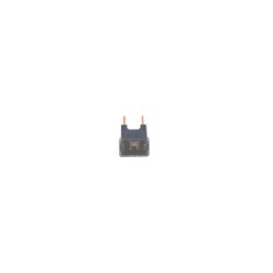 Fuse BOSCH 1987529074