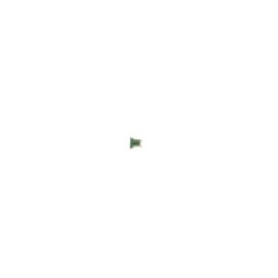 Fuse BOSCH 1987529077