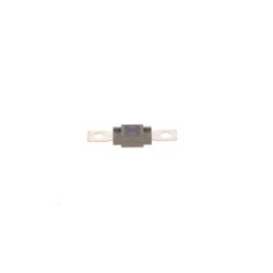 Fuse BOSCH 1987531007