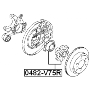 Wheel Hub - FEBEST 0482V75R