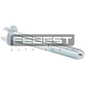 Camber Correction Screw - FEBEST 0529005