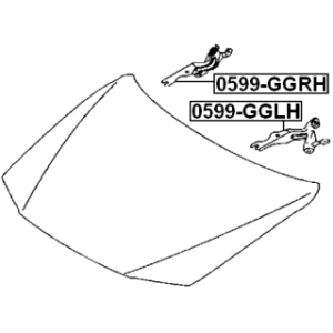 Hinge Bonnet - FEBEST 0599GGRH