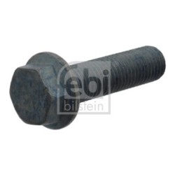 Screw FEBI 17864 OE 06.02813.4814