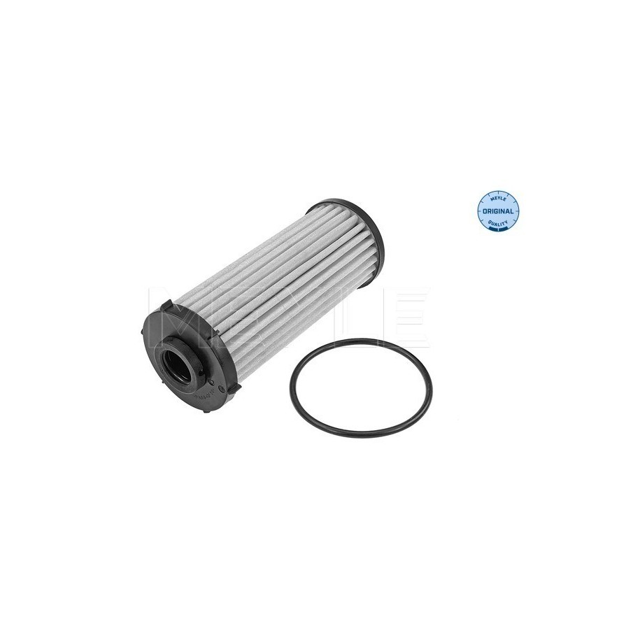 Automatic Transmission Filter MEYLE 1001360004 for AUDI